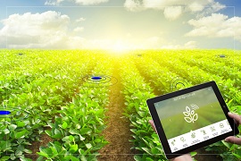 smart agriculture