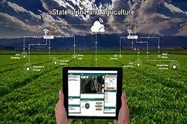 smart agriculture